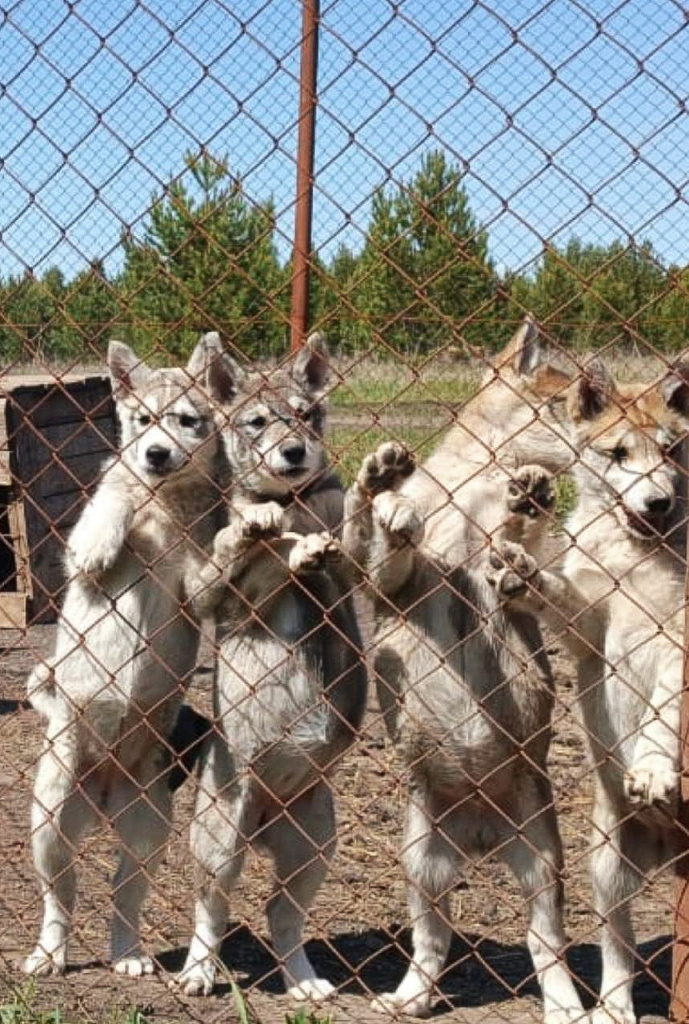 правлено 4.jpg правлено 4.jpg